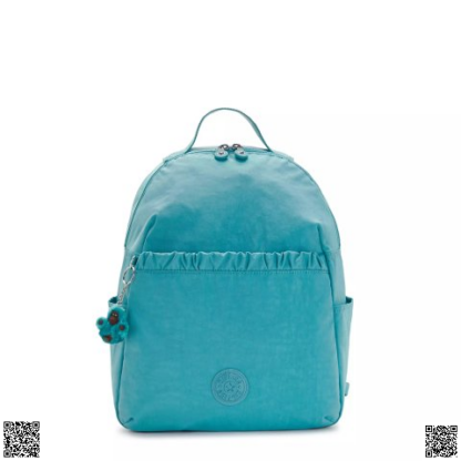 美國代購正品 Kipling Adam 雙肩包