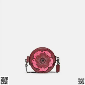 美國代購正品 Coach 山茶花斜挎包