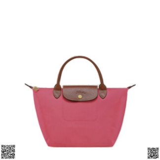 美國代購正品 Longchamp Le Pliage 小號餃子包