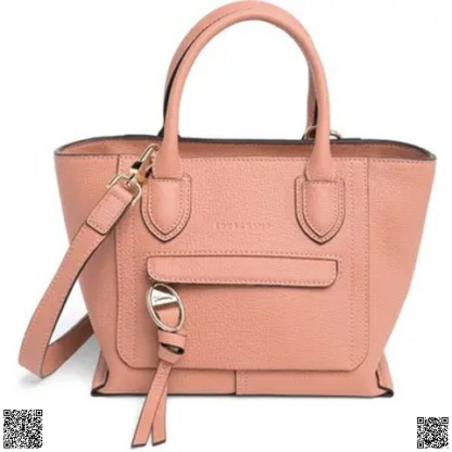 美國代購正品 Longchamp 小號斜挎包