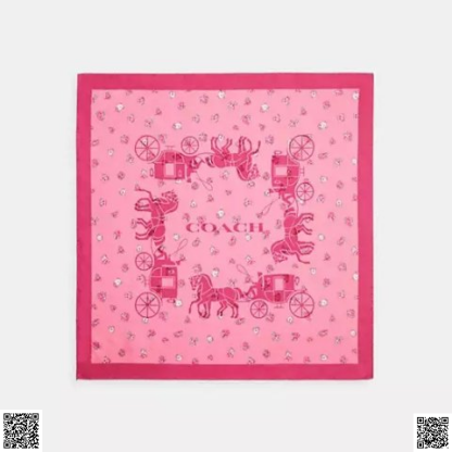 美國代購正品 Coach 絲巾