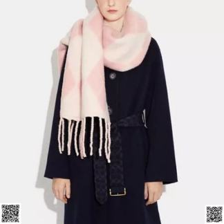 美國代購正品 Coach 羊毛圍巾