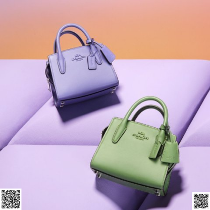 美國代購正品 Coach Andrea Mini 手提包